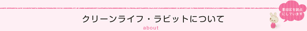 クリーンライフ・ラビットについて