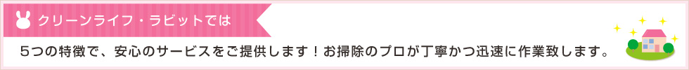 クリーンライフ・ラビットの5つのポイント